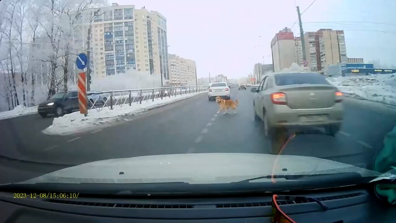 У деревни Дусьево четыре автомобиля после ДТП разлетелись по кюветам —  Мегаполис