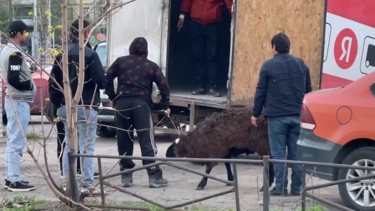 Петербуржцы собрали деньги для дворника, спасшего людей во время пожара —  Мегаполис